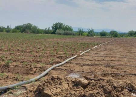 روش‌های نوین آبیاری راهکار پایدار مقابله با بحران آب و بیکاری