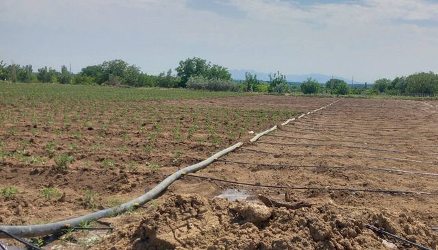 روش‌های نوین آبیاری راهکار پایدار مقابله با بحران آب و بیکاری