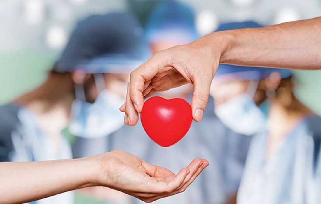 اهدای عضو؛ نبض دوباره زندگی
