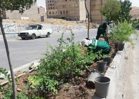 کاشت ۱۰۰ هزار بوته گل فصلی و دائمی در سطح شهر خوی