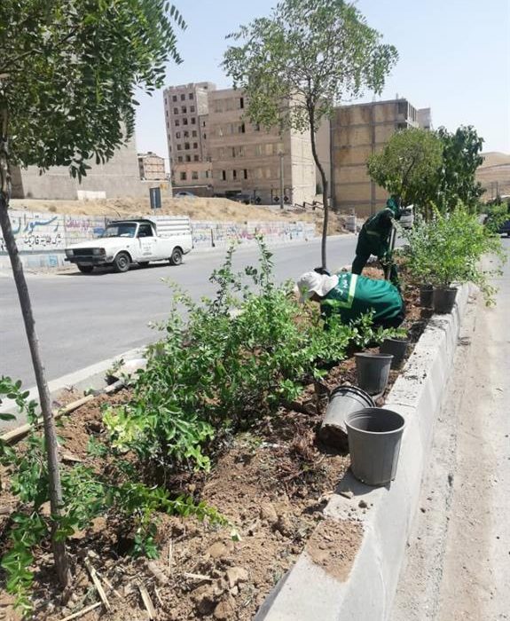 کاشت ۱۰۰ هزار بوته گل فصلی و دائمی در سطح شهر خوی