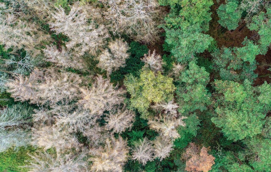 ارائه نخستین تحلیل از تعامل شدت و مدت خشکسالی و تأثیر آن بر کارکرد اکوسیستم‌ها