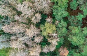 ارائه نخستین تحلیل از تعامل شدت و مدت خشکسالی و تأثیر آن بر کارکرد اکوسیستم‌ها