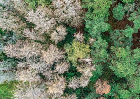 ارائه نخستین تحلیل از تعامل شدت و مدت خشکسالی و تأثیر آن بر کارکرد اکوسیستم‌ها