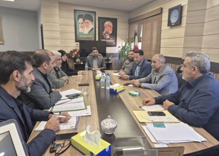 از تجلیل از خانواده های شهدای اصناف تا برگزاری ویژه برنامه هفته بسیج در بازار تاریخی شیراز