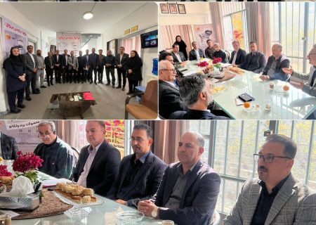 بازرسی سالانه اتحادیه صنف کابینت سازان شیراز انجام شد