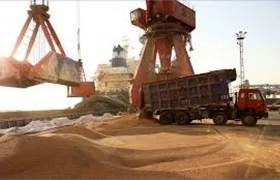 فروش ۸ کشتی نهاده دامی خالی/ ویدئو