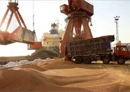 فروش ۸ کشتی نهاده دامی خالی/ ویدئو