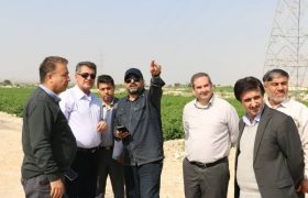 دستور ویژه مدیرعامل شرکت برق منطقه ای فارس برای اتصال نیروگاه متانول کاوه به شبکه سراسری