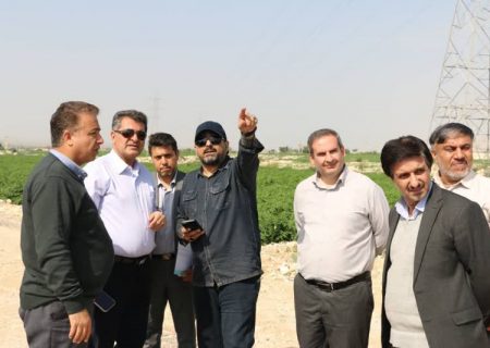 دستور ویژه مدیرعامل شرکت برق منطقه ای فارس برای اتصال نیروگاه متانول کاوه به شبکه سراسری