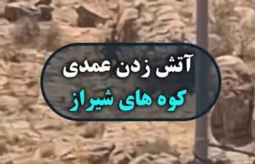 عامل به آتش کشیدن کوههای اطراف شیراز در کمتر از ۲۴ ساعت توسط پلیس دستگیر شد