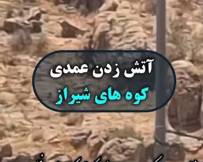 عامل به آتش کشیدن کوه‌‌های اطراف شیراز در کمتر از ۲۴ ساعت توسط پلیس دستگیر شد